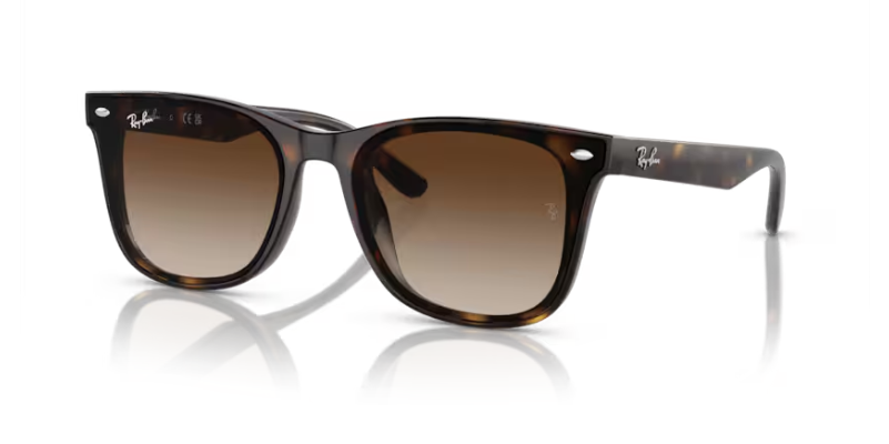 ray ban rb 4420 710/13 65 güneş gözlüğü