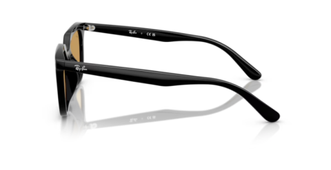 ray ban rb 4439D 901/73 54 güneş gözlüğü