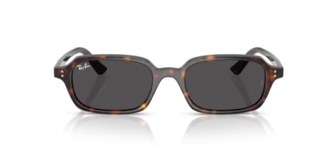 ray ban rb 4455 135987 52 güneş gözlüğü