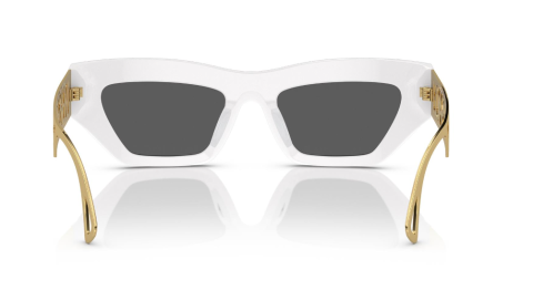 versace ve 4432U 401/87 güneş gözlüğü