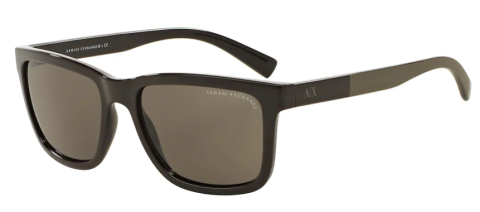 Armani Exchange Ax4045S 8086/73 Erkek Güneş Gözlüğü
