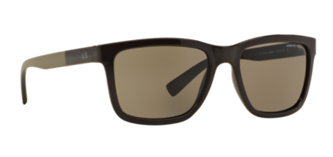 Armani Exchange Ax4045S 8086/73 Erkek Güneş Gözlüğü