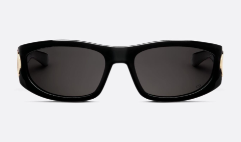 dıor Verydior S3I CD 40202I 01A güneş gözlüğü